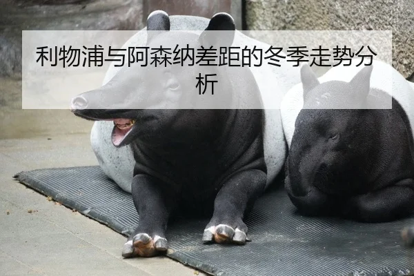 利物浦与阿森纳差距的冬季走势分析